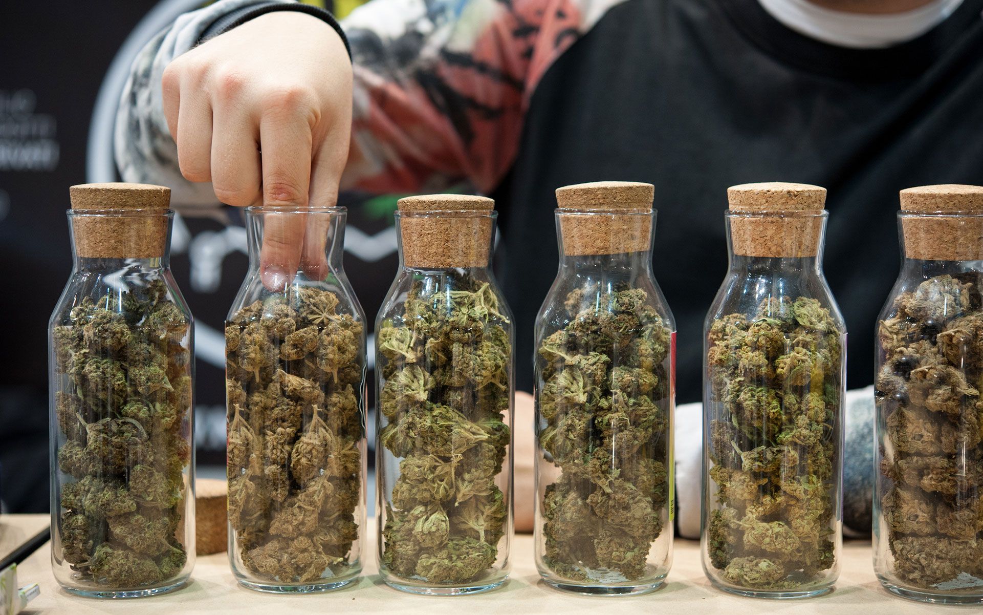 Choose a Marijuana Dispensary with These 5 Tips from the Pros - Neo Media  Lab