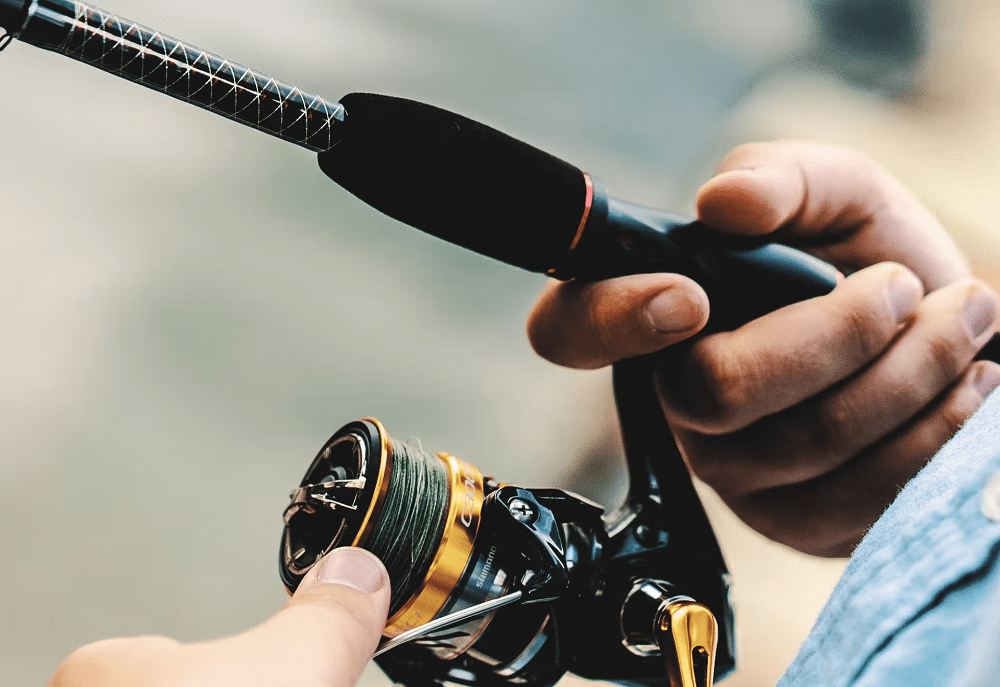 Best Fishing Brands in the world