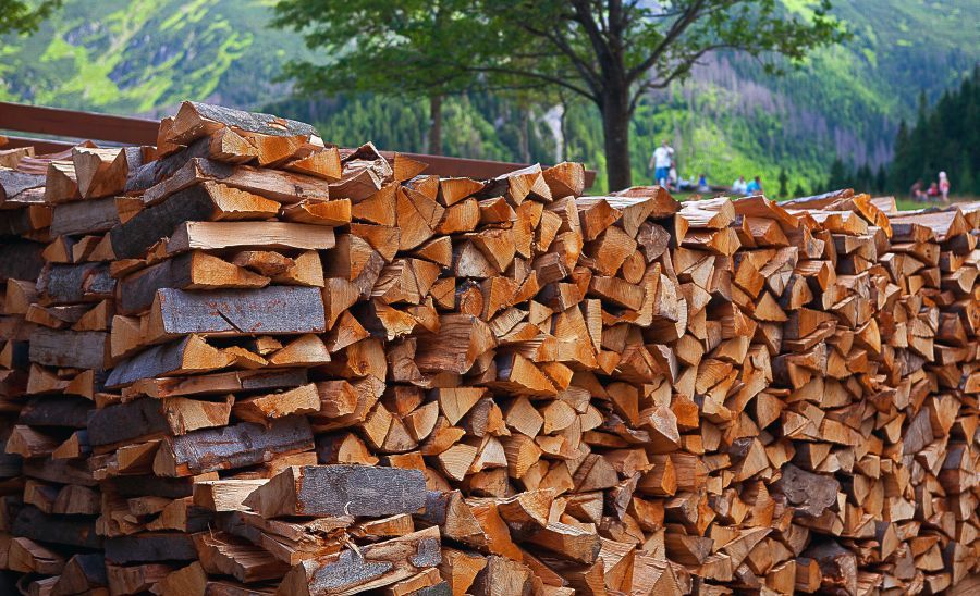 Wood Drying: Know The Importance Of This Process