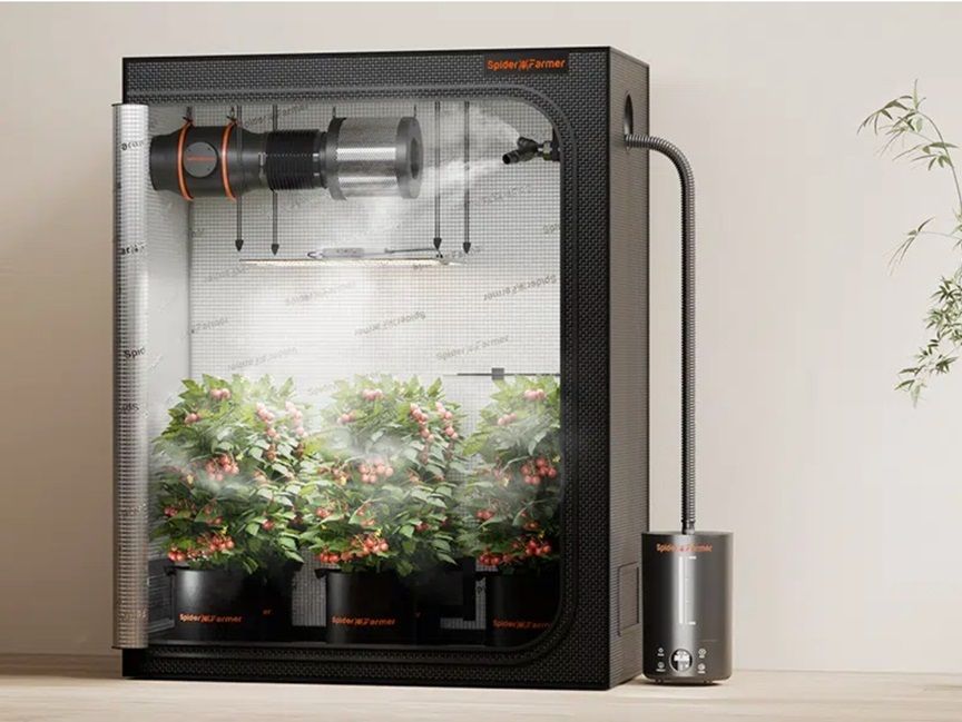 Maximize Plant Health: Vital Role of Humidifiers in Your Grow Tent