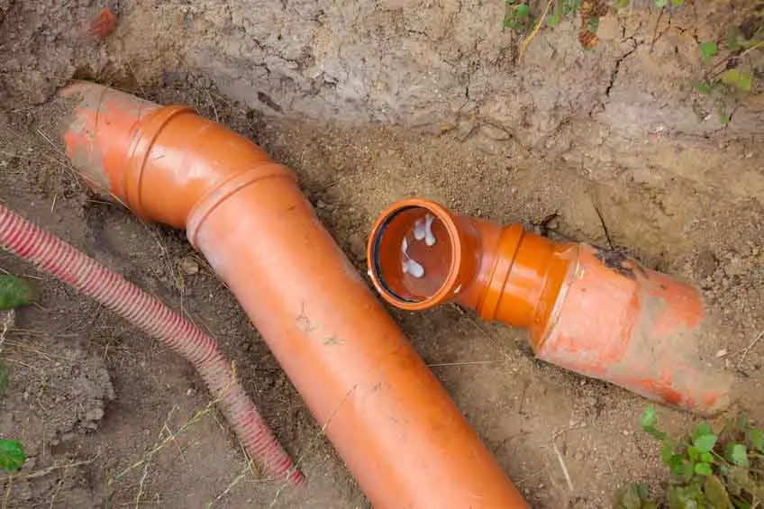 How to Prevent Roots From Invading Your Sewer Line