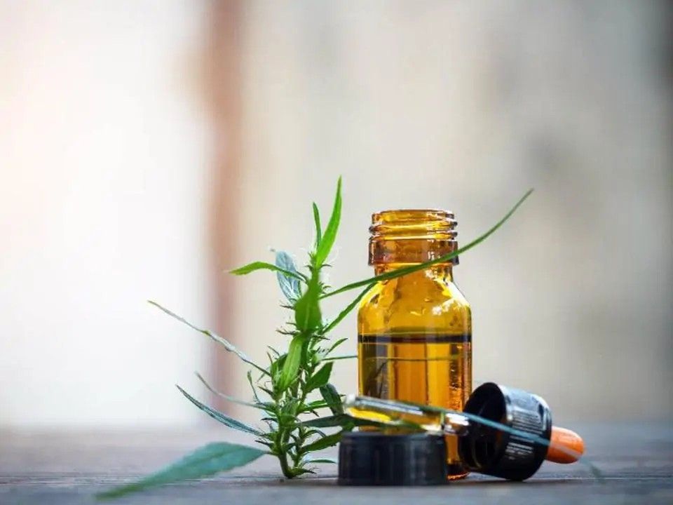 Unlocking Wellness: Discover the Benefits of Full-Spectrum CBD Oil in Canada